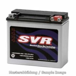 SVR AGM 12V Batterie 12Ah 180 CCA